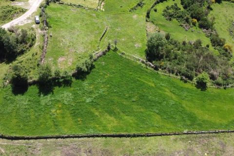 Helårsgrund i Ponte de Lima, Viana do Castelo, Ponte de Lima - € 48.500 | Ref: 5966 - foto 7