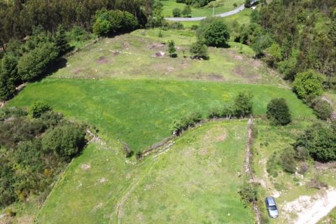 Helårsgrund i Ponte de Lima, Viana do Castelo, Ponte de Lima - € 48.500 | Ref: 5966 - foto 8