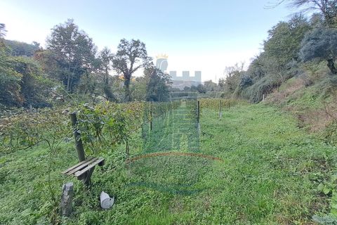 Helårsgrund i Ponte de Lima, Viana do Castelo, Ponte de Lima - € 49.000 | Ref: 6076 - foto 3