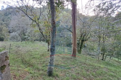 Helårsgrund i Ponte de Lima, Viana do Castelo, Ponte de Lima - € 49.000 | Ref: 6076 - foto 4