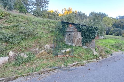 Helårsgrund i Ponte de Lima, Viana do Castelo, Ponte de Lima - € 49.000 | Ref: 6076 - foto 5
