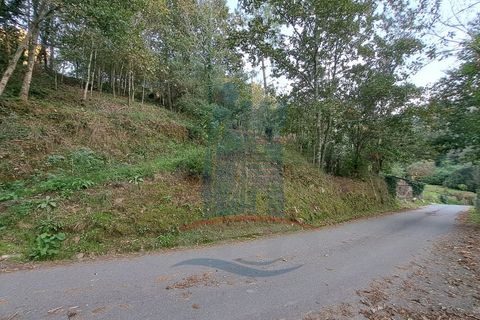 Helårsgrund i Ponte de Lima, Viana do Castelo, Ponte de Lima - € 49.000 | Ref: 6076 - foto 6