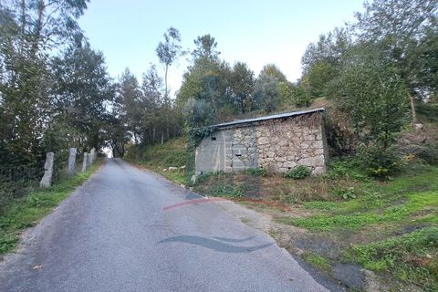 Helårsgrund i Ponte de Lima, Viana do Castelo, Ponte de Lima - € 49.000 | Ref: 6076 - foto 7