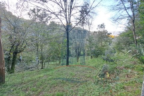 Helårsgrund i Ponte de Lima, Viana do Castelo, Ponte de Lima - € 49.000 | Ref: 6076 - foto 2