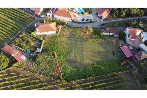 Helårsgrund i Ponte de Lima, Viana do Castelo, Ponte de Lima - € 69.000 | Ref: 6048 - foto 2