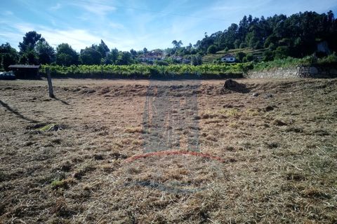 Helårsgrund i Ponte de Lima, Viana do Castelo, Ponte de Lima - € 69.000 | Ref: 6048 - foto 3