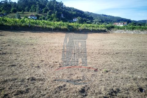 Helårsgrund i Ponte de Lima, Viana do Castelo, Ponte de Lima - € 69.000 | Ref: 6048 - foto 6