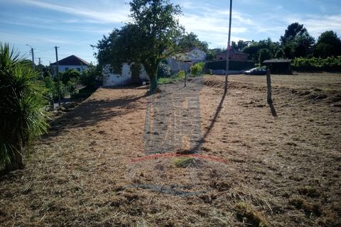 Helårsgrund i Ponte de Lima, Viana do Castelo, Ponte de Lima - € 69.000 | Ref: 6048 - foto 7