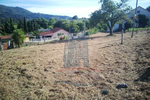 Helårsgrund i Ponte de Lima, Viana do Castelo, Ponte de Lima - € 69.000 | Ref: 6048 - foto 8