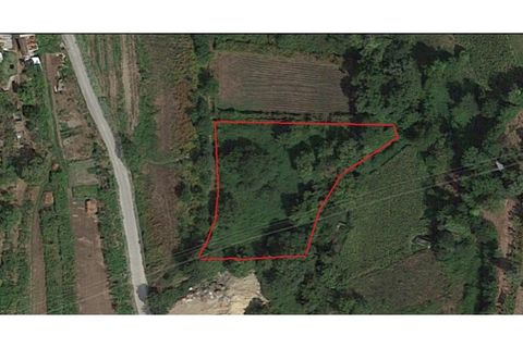 Helårsgrund i Ponte de Lima, Viana do Castelo, Ponte de Lima - € 14.000 | Ref: 5605 - foto 2