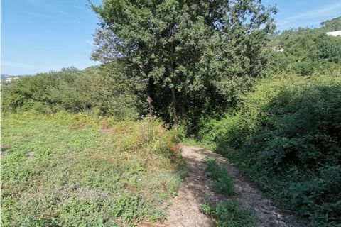 Helårsgrund i Ponte de Lima, Viana do Castelo, Ponte de Lima - € 14.000 | Ref: 5605 - foto 3