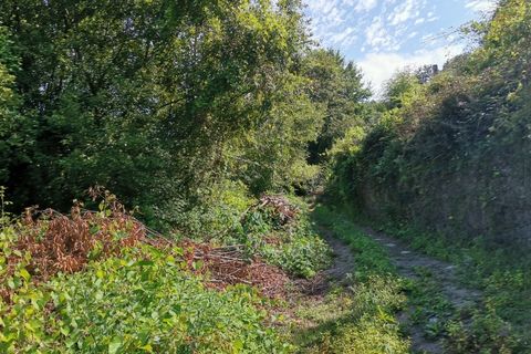 Helårsgrund i Ponte de Lima, Viana do Castelo, Ponte de Lima - € 14.000 | Ref: 5605 - foto 4