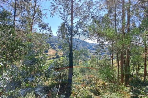 Helårsgrund i Ponte de Lima, Viana do Castelo, Ponte de Lima - € 10.000 | Ref: 6211 - foto 3