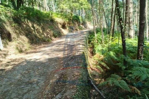 Helårsgrund i Ponte de Lima, Viana do Castelo, Ponte de Lima - € 10.000 | Ref: 6211 - foto 4