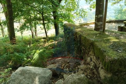 Helårsgrund i Ponte de Lima, Viana do Castelo, Ponte de Lima - € 10.000 | Ref: 6211 - foto 7