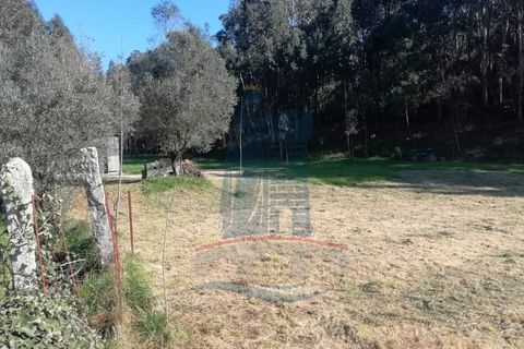 Helårsgrund i Barroselas, Viana do Castelo, Barroselas - € 19.000 | Ref: 5832 - foto 2