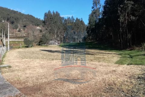 Helårsgrund i Barroselas, Viana do Castelo, Barroselas - € 19.000 | Ref: 5832 - foto 7