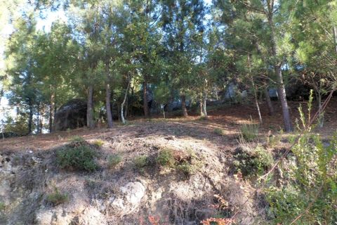 Helårsgrund i Ponte de Lima, Viana do Castelo, Ponte de Lima - € 15.000 | Ref: 4893 - foto 2