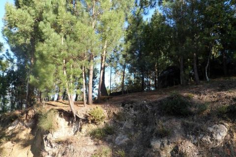 Helårsgrund i Ponte de Lima, Viana do Castelo, Ponte de Lima - € 15.000 | Ref: 4893 - foto 3