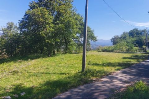 Terra a Gondufe, Viana do Castelo, Gondufe - € 19.500 | Ref: 5968 - foto 3