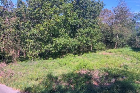Terra a Gondufe, Viana do Castelo, Gondufe - € 19.500 | Ref: 5968 - foto 4