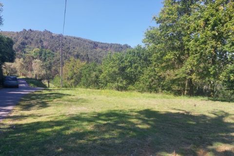 Terra a Gondufe, Viana do Castelo, Gondufe - € 19.500 | Ref: 5968 - foto 5
