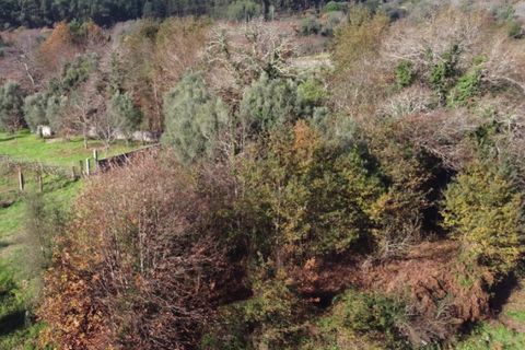 Helårsgrund i Ponte de Lima, Viana do Castelo, Ponte de Lima - € 9.000 | Ref: 5935 - foto 2