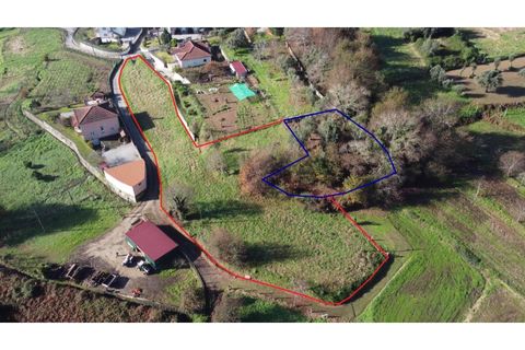Helårsgrund i Ponte de Lima, Viana do Castelo, Ponte de Lima - € 9.000 | Ref: 5935 - foto 4