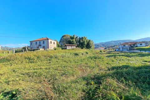Helårsgrund i Ponte de Lima, Viana do Castelo, Ponte de Lima - € 58.000 | Ref: 6039 - foto 3