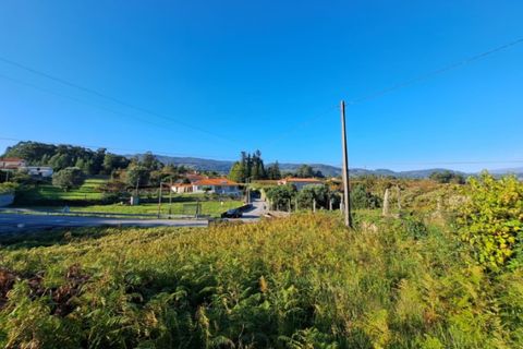 Helårsgrund i Ponte de Lima, Viana do Castelo, Ponte de Lima - € 58.000 | Ref: 6039 - foto 4