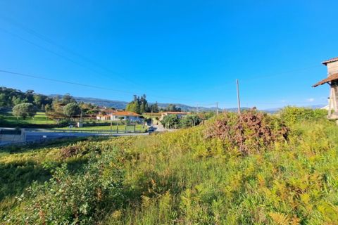 Helårsgrund i Ponte de Lima, Viana do Castelo, Ponte de Lima - € 58.000 | Ref: 6039 - foto 5
