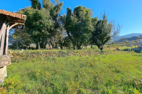 Helårsgrund i Ponte de Lima, Viana do Castelo, Ponte de Lima - € 58.000 | Ref: 6039 - foto 6