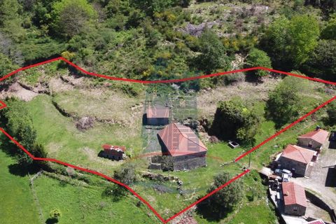 Villa i Ponte de Lima, Viana do Castelo, Ponte de Lima - € 110.000 | Ref: 5950 - foto 1