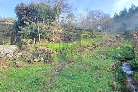 Villa i Ponte de Lima, Viana do Castelo, Ponte de Lima - € 110.000 | Ref: 5950 - foto 2