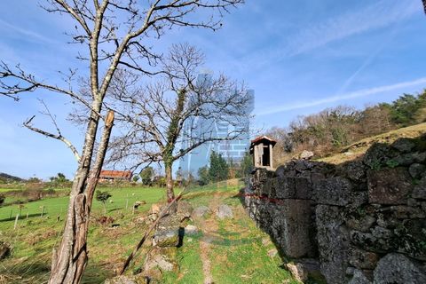 Villa i Ponte de Lima, Viana do Castelo, Ponte de Lima - € 110.000 | Ref: 5950 - foto 3