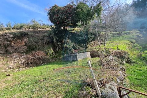 Villa i Ponte de Lima, Viana do Castelo, Ponte de Lima - € 110.000 | Ref: 5950 - foto 6