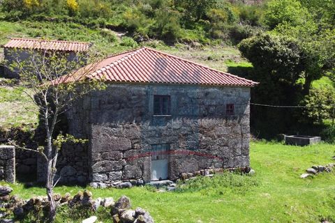 Villa i Ponte de Lima, Viana do Castelo, Ponte de Lima - € 110.000 | Ref: 5950 - foto 7