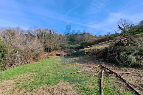 Villa i Ponte de Lima, Viana do Castelo, Ponte de Lima - € 110.000 | Ref: 5950 - foto 11