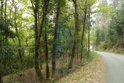Helårsgrund i Ponte de Lima, Viana do Castelo, Ponte de Lima - € 80.000 | Ref: 5542 - foto 3
