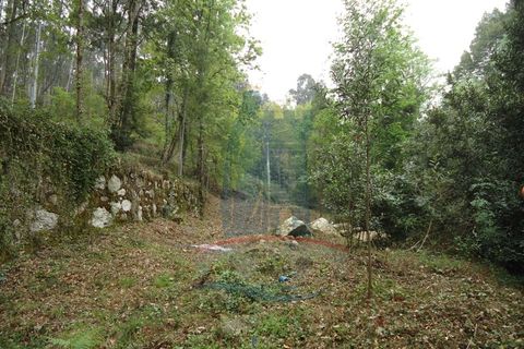 Helårsgrund i Ponte de Lima, Viana do Castelo, Ponte de Lima - € 80.000 | Ref: 5542 - foto 4
