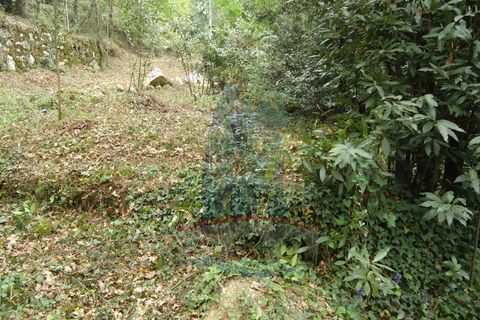 Helårsgrund i Ponte de Lima, Viana do Castelo, Ponte de Lima - € 80.000 | Ref: 5542 - foto 5