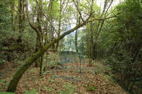 Helårsgrund i Ponte de Lima, Viana do Castelo, Ponte de Lima - € 80.000 | Ref: 5542 - foto 6