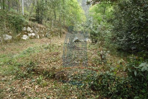 Helårsgrund i Ponte de Lima, Viana do Castelo, Ponte de Lima - € 80.000 | Ref: 5542 - foto 8