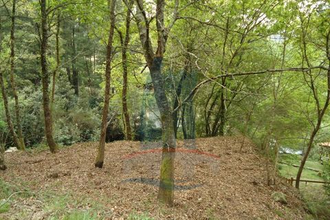 Helårsgrund i Ponte de Lima, Viana do Castelo, Ponte de Lima - € 80.000 | Ref: 5542 - foto 10
