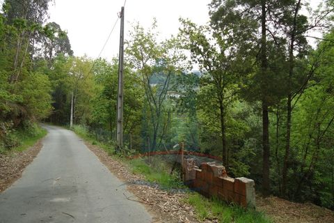 Helårsgrund i Ponte de Lima, Viana do Castelo, Ponte de Lima - € 80.000 | Ref: 5542 - foto 11