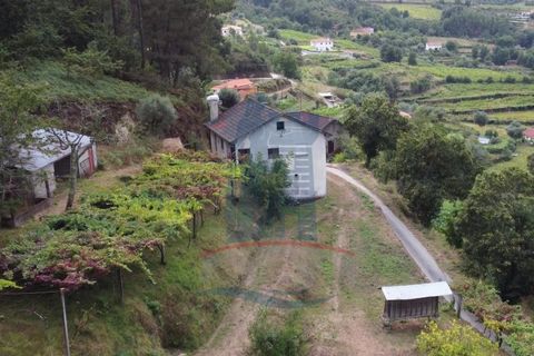 Villa i Ponte de Lima, Viana do Castelo, Ponte de Lima - € 135.000 | Ref: 5587 - foto 13