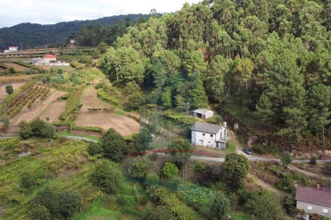 Villa i Ponte de Lima, Viana do Castelo, Ponte de Lima - € 135.000 | Ref: 5587 - foto 14