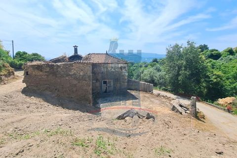 Landejendom i Ponte de Lima, Viana do Castelo, Ponte de Lima - € 125.000 | Ref: 6176 - foto 8