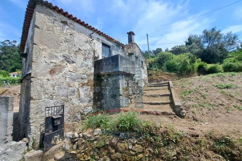 Landejendom i Ponte de Lima, Viana do Castelo, Ponte de Lima - € 125.000 | Ref: 6176 - foto 9