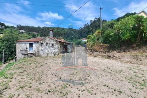 Landejendom i Ponte de Lima, Viana do Castelo, Ponte de Lima - € 125.000 | Ref: 6176 - foto 10